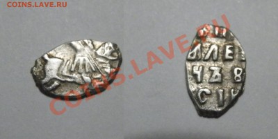 На определение 2 чешуйки - PB023809.JPG