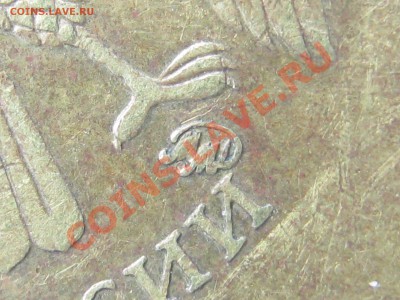 В4 - IMG_0392.JPG