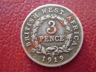 Британская Западная Африка: 3 пенса 1919 до 07.11 22 - БЗА 3 пенса 1919-1.JPG