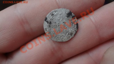 Россия для Польши 5 Грош 1819г До 6.11.13г 22.00мск - DSC08284.JPG