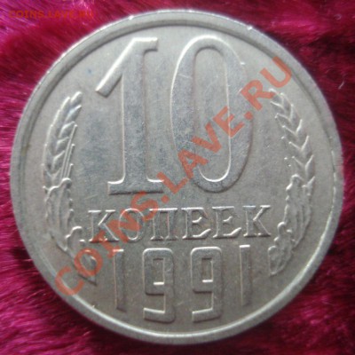 б, 3 штуки - DSC09098.JPG