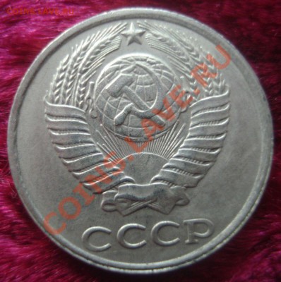 б, 3 штуки - DSC09105.JPG