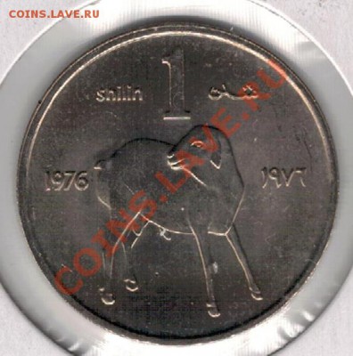 СОМАЛИ ШИЛЛИНГ 1976 ФАО ЯГНЕНОК ДО 07.11 В 22.00МСК (Б) - 4б-сом1