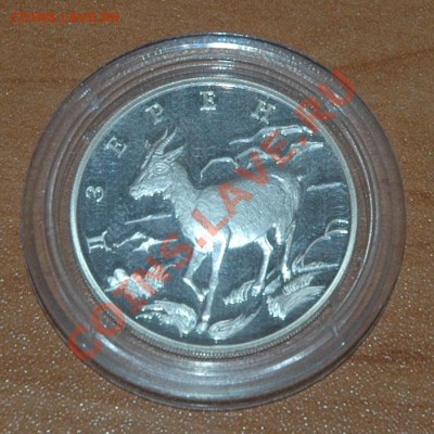 1 рубль 2006 Дзерен - 2-1.JPG