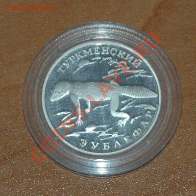 1 рубль 1996 Туркменский зублефар - 3-1.JPG