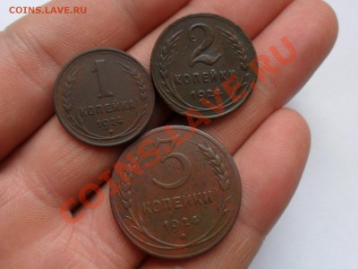 1,2,3 копейки 1924г.  до 6.11.2013г. 22.00 по моск. - SAM_6432.JPG