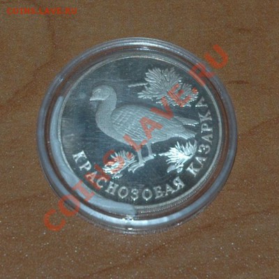 1 рубль 1994 Краснозобая казарка - 4-1.JPG