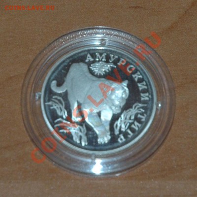 1 рубль 1993 Амурский тигр до 6.11 - 8-1.JPG