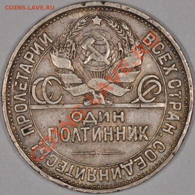 ПОЛТИННИК 1925 (гурт 1924) НЕПЛОХОЙ! до 07.11.13 22:00 - DSC_0069.JPG