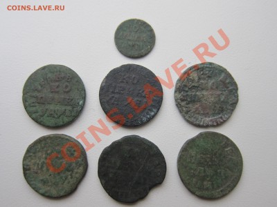 Лот копеек Петра Первого - IMG_9144[1].JPG
