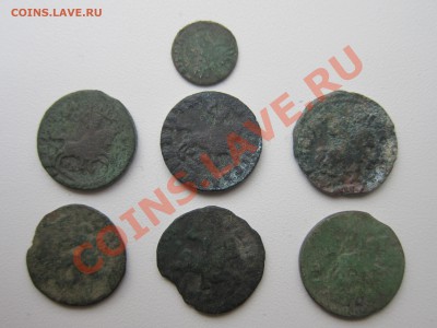 Лот копеек Петра Первого - IMG_9146[1].JPG