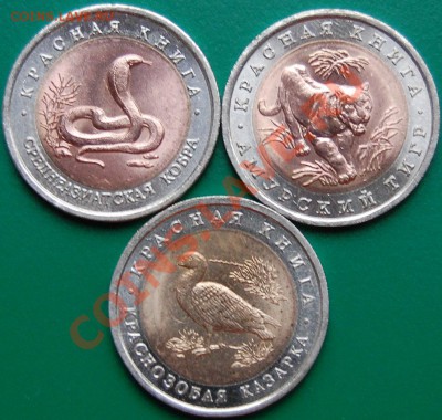 Комплект Красная книга-92, до 10.11.13 22-00 - 1.JPG