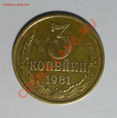 1к 1989г.выкус3к.1983г.раскол10к.1990г.ск.10к.2012г.смещение - P1080120_cr