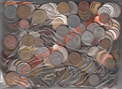 Иностранная Экзотика без повторов 1 кг до 22.00 7.11 - IMG_0003