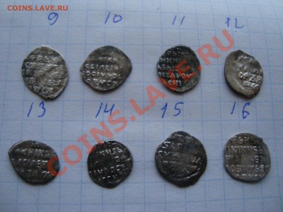 чешуя 76шт. - DSC08835.JPG