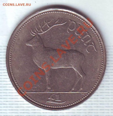 Ирландия.Фунт.1990.Олень. до 11.11 - 19900053.JPG