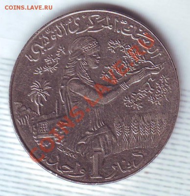 Тунис.Динар.1990.F.A.O.до 11.11 - 19900057.JPG