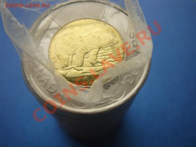 Канада: 2 доллара 2013 UNC из ролла до 11.11.13, 22-00 - Канада 2 доллара 2013-ролл.JPG