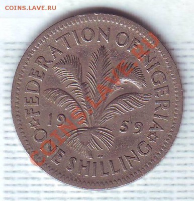 Брит.Нигерия.Шиллинг.1959. до 12.11 - 19590021.JPG