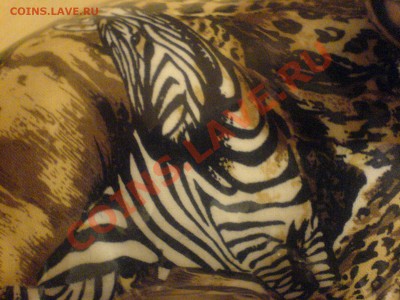 Куплю фарфоровую ЗЕБРУ - DSC07964.JPG