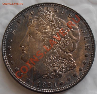 1 $ Моргана 1921, до 08.11.2013 в 22-00 Мск. - 1921