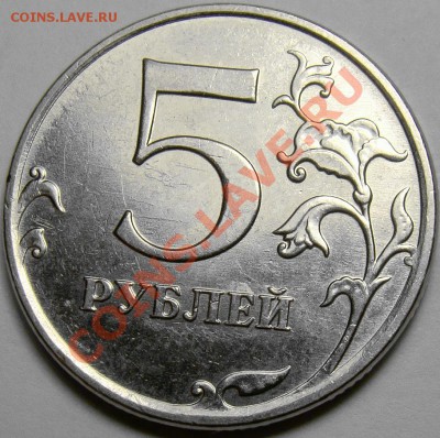 5.10ММД шт.Б1, Б2, Б3, Б4, В1 и В2 до 22.00 мск 10.11.13 - DSC05865