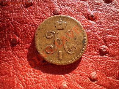 2 1844 см желтая на оценку - P9200103.JPG
