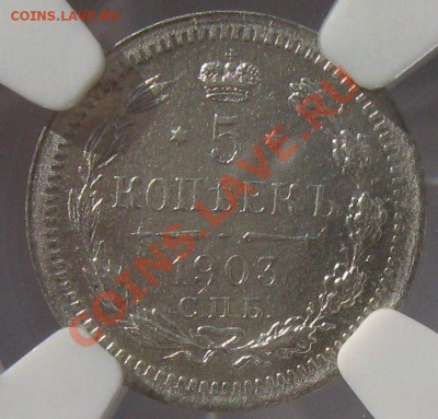 5 копеек 1903 NGC MS63 !! до 13.10.2013 в 22:00 - $(KGrHqVHJCUFJYlPmZp3BSb+6SmVe!~~60_3.JPG