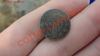 1 Грош 1839г Короткий Хвост. R Оценка - DSC08405.JPG