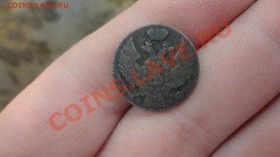 1 Грош 1839г Короткий Хвост. R Оценка - DSC08406.JPG