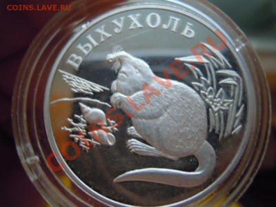 с рубля - DSCN4248.JPG