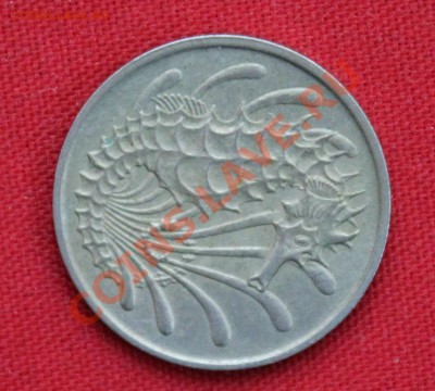 Конкурс «Veni Vedi Vici» - IMG_8640.JPG