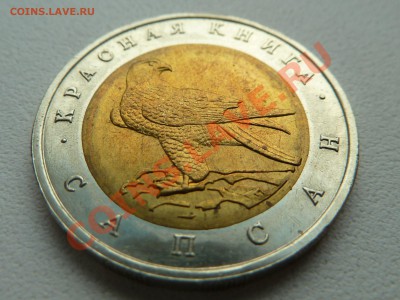 КРАСНАЯ КНИГА-САПСАН-1994-50 рублей до 12.11.13 22:00 Мск - P1130929.JPG
