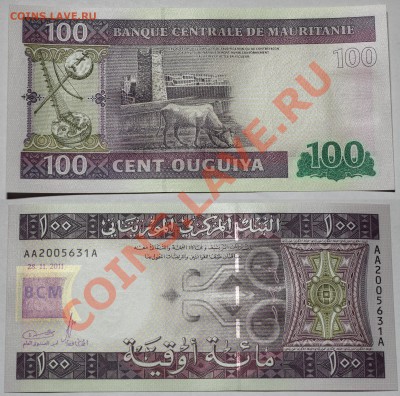 Мавритания 100 угий 2011 до 15.11.13 22мск - Mauritania_100_2011