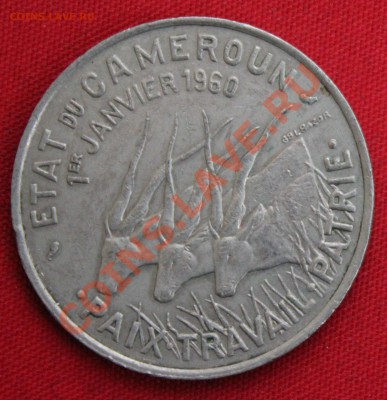 КАМЕРУН  50 франков 1960г. АНТИЛОПЫ    до 13.11.13г. в 22-00 - IMG_8065.JPG