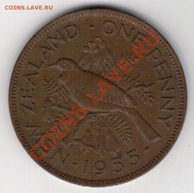 Н.ЗЕЛАНДИЯ ПЕННИ 1955 ПТИЦА ДО 14.11 В 22.00МСК (Г) - 4г-нзп1