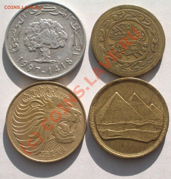 4 монеты стран Африки (окон. 29.01.10 в 21-00 МСК) - m12