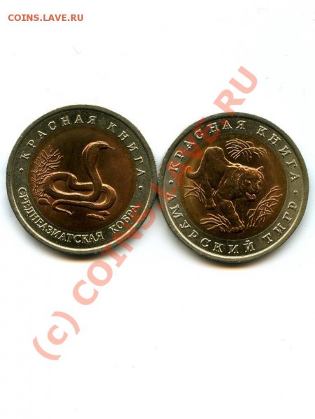 Красная книга 1992 год до 26.01.10 в 22.00 по МСК - 1992 год.JPG