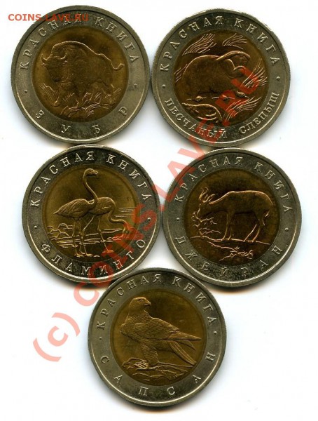 Красная книга 1994 год до 26.01.10 в 22.00 по МСК - 1994 год.JPG