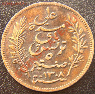 Французский Тунис_5 сантимов 1891; до 11.11_22.08мск - 6862