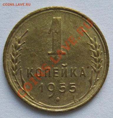 1 копейка 1955 год.---------15,11,13 в 22,00 Моск. - IMG_8155.JPG