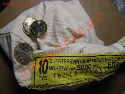 ЕЛЕЦ мешковой 100 штук! до 14 ноября 22-00 - IMG_5881