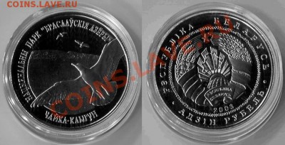 БЕЛАРУСЬ 2003г Чайка серебристая. Национальный парк - Чайка серебристая.