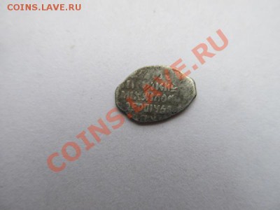 2 чешуйки Предпродажная оценка. - IMG_2852.JPG