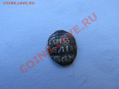 2 чешуйки Предпродажная оценка. - IMG_2878.JPG
