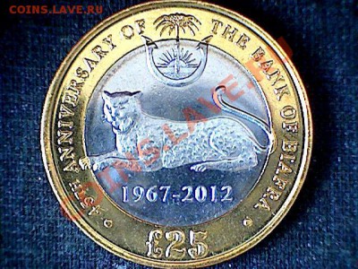 Биафра 2012 - лож и провакация? - biafra_1.JPG