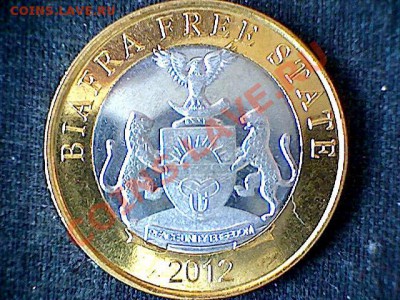 Биафра 2012 - лож и провакация? - biafra_2.JPG