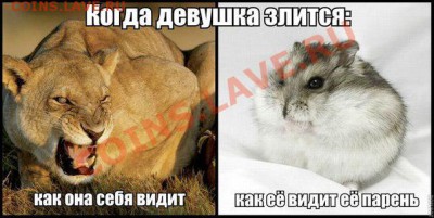 юмор - z7Ra8XbdI20