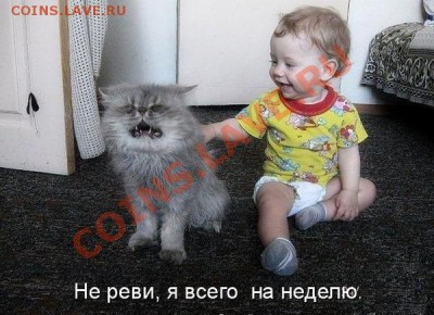 юмор - g4D8WI9veP8