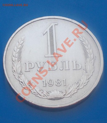 ГОДОВИК 1981 хорош года до 18.11.2013 в 22-00 мск - DSCN5483 [1024x768].JPG